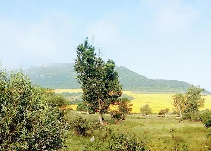 Gasthof у снежаны *