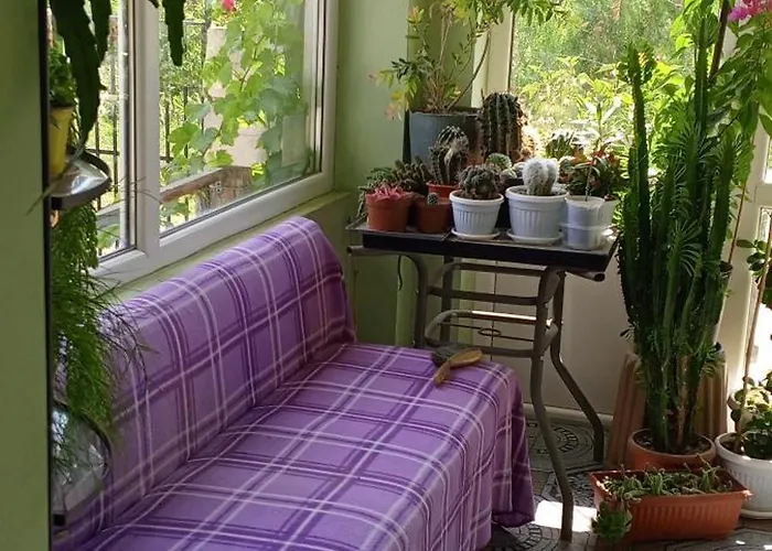 Gasthof у снежаны *