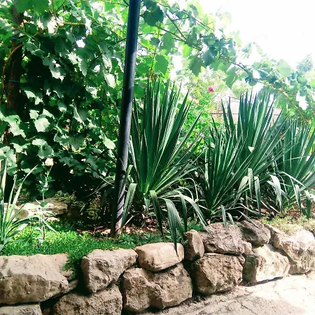 Maison d'hôtes у снежаны *