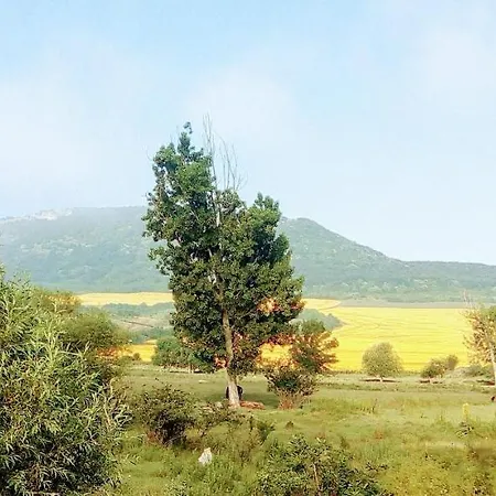 Maison d'hôtes у снежаны *