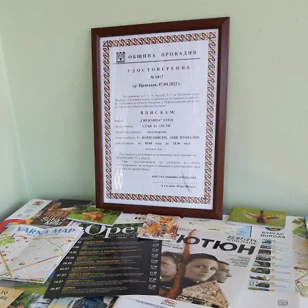 Maison d'hôtes у снежаны *