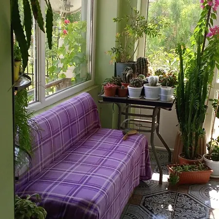 Maison d'hôtes у снежаны *