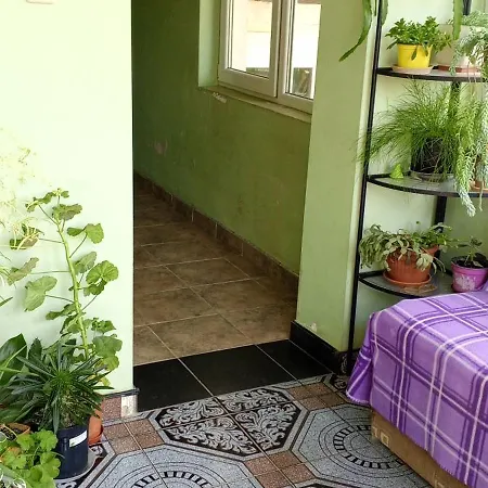 у снежаны Maison d'hôtes Provadiya