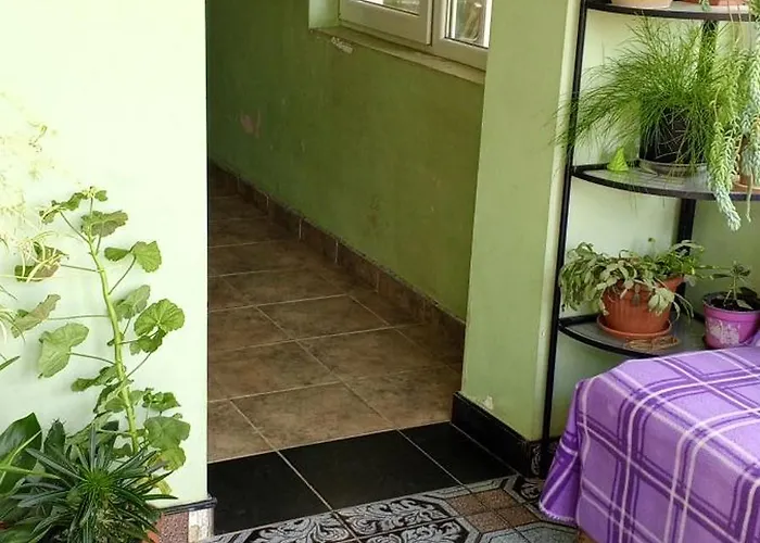 у снежаны Affittacamere Provadiya